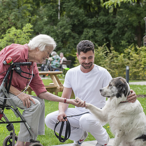 Hund gibt Pfötchen zu alter Frau mit Rollator